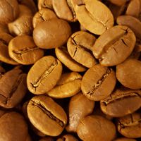 Bester Kaffee u.s.w. u.s.w. ...